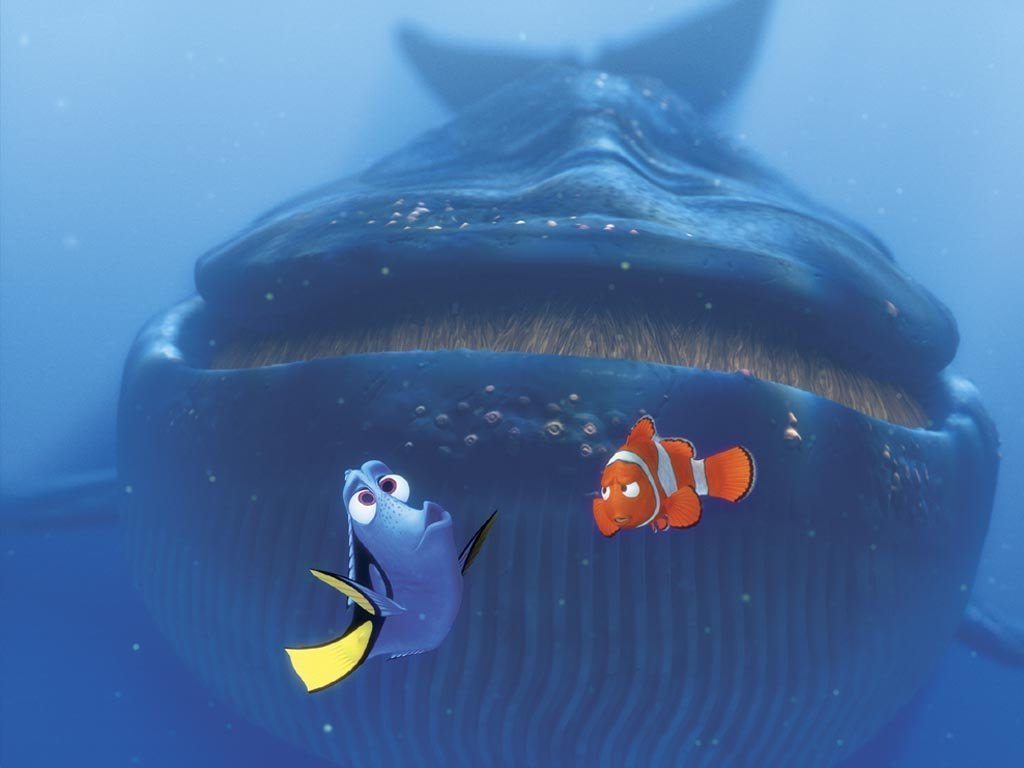finding nemo hate