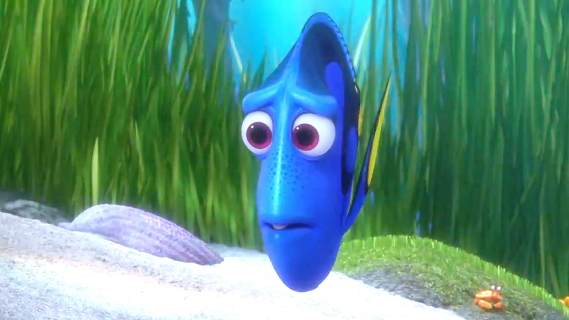 finding dory pixar theory